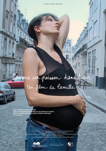 Comme un poisson dans l’air movie poster