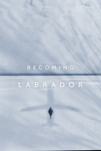 Becoming Labrador movie poster