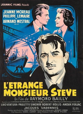The Strange Mr. Steve movie poster