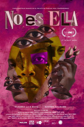 It's Not Her movie poster