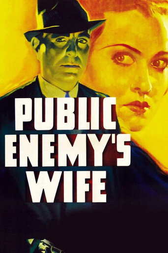 Public Enemy's Wife movie poster