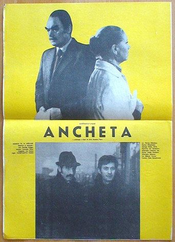 The Investigation movie poster