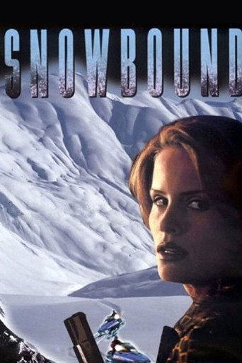 Snowbound movie poster