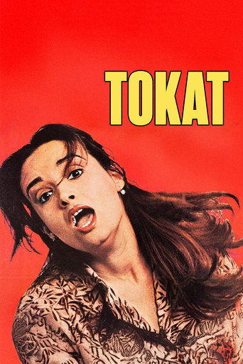 Tokat movie poster
