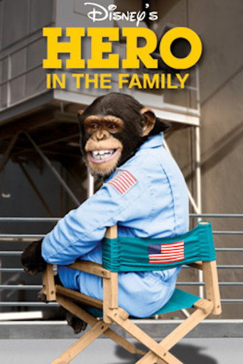 Hero in the Family movie poster