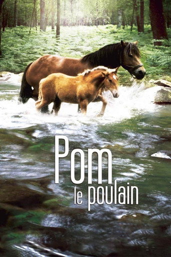 Pom, le poulain movie poster
