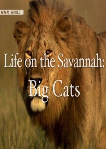 Life on the Savannah: Big Cats movie poster