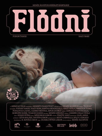 Flódni movie poster