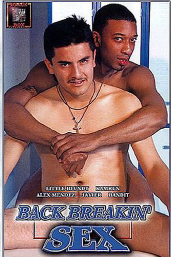 Back Breakin' Sex movie poster