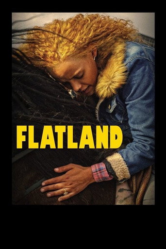 Flatland movie poster