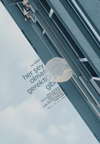 Her Şey Olması Gerektiği Gibi movie poster