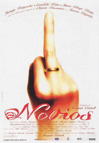 Novios movie poster