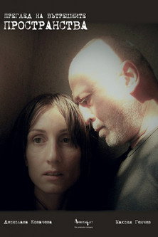 REVIEW OF INNER SPACES movie poster