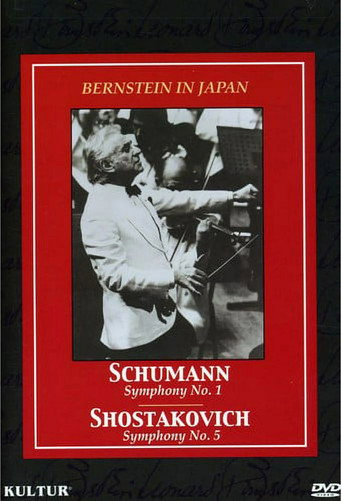 Bernstein in Japan movie poster