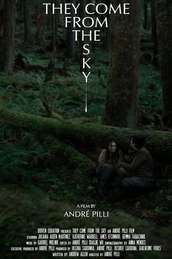They Come From the Sky movie poster