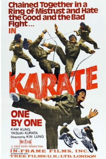 Kung Fu Powerhouse movie poster