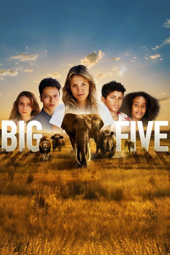 Big Five movie poster