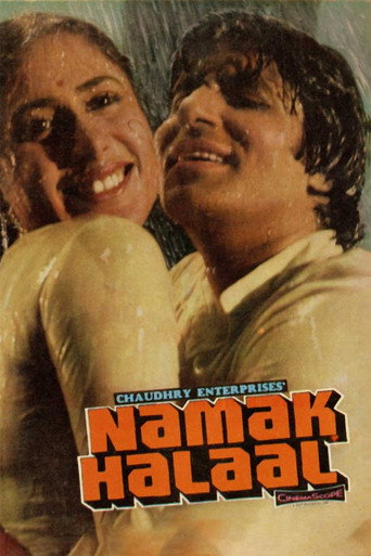 Namak Halaal movie poster