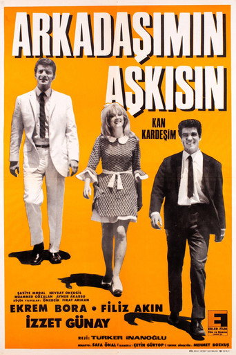 Arkadaşımın Aşkısın movie poster
