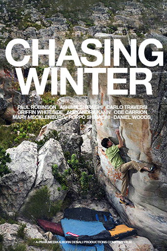 Chasing Winter movie poster