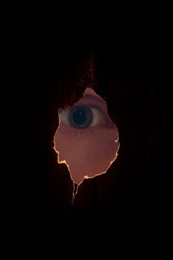 The golden monkey movie poster