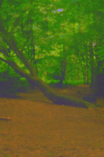 Fuck Tree movie poster