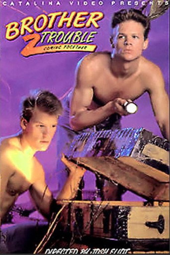 Brother Trouble 2: Coming Together movie poster