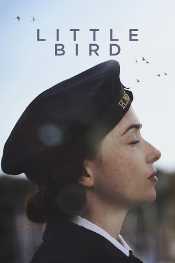 Little Bird movie poster