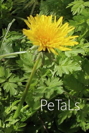 PeTaLs movie poster