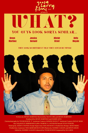 What? You Guys Look Sorta Similar… movie poster