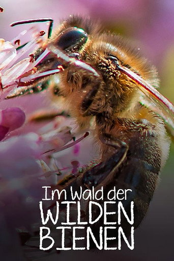 Im Wald der wilden Bienen movie poster