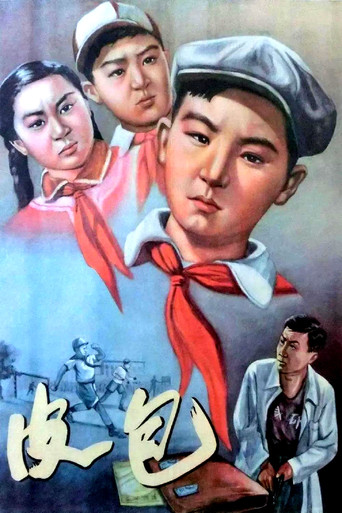 皮包 movie poster
