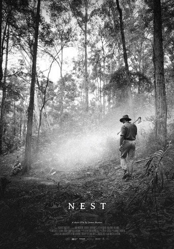 Nest movie poster