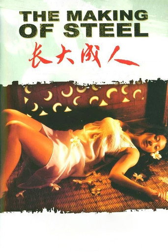 The Making of Steel movie poster