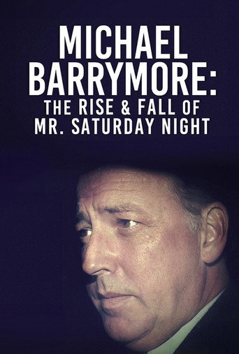 Michael Barrymore: The Rise and Fall of Mr Saturday Night movie poster