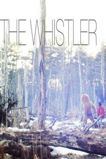 The Whistler movie poster