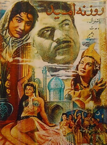 A Ray of Hope movie poster