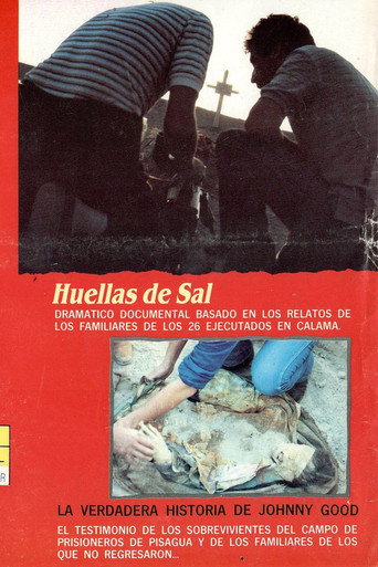 La Verdadera Historia de Johny Good movie poster