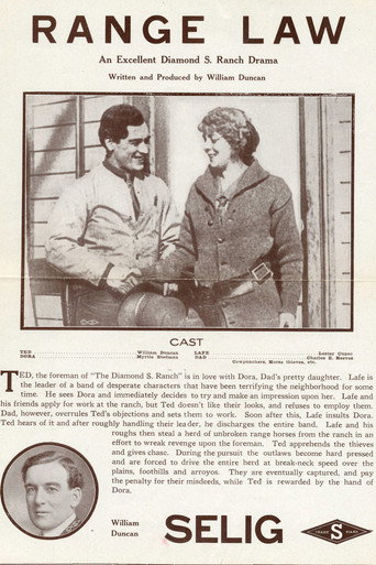 The Range Law movie poster