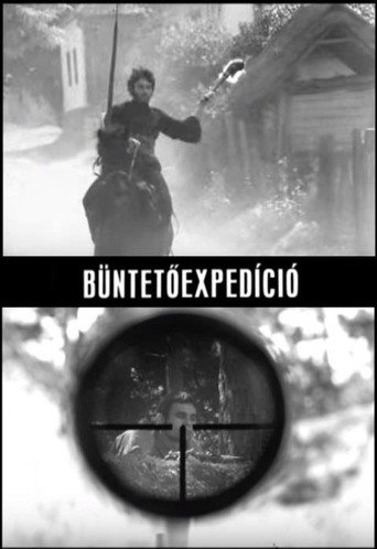 Punitive Expedition movie poster