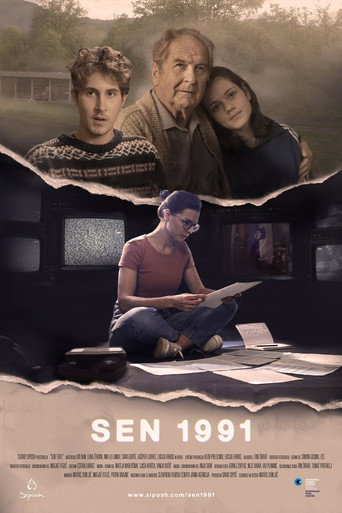 Dream 1991 movie poster