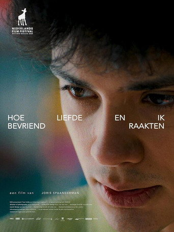 The Halation of Love movie poster
