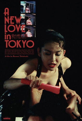 A New Love in Tokyo movie poster