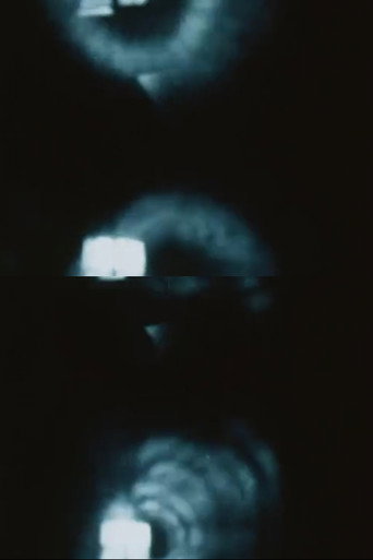 Pinhole Film (The Man Without a Movie Camera) movie poster