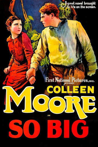 So Big movie poster