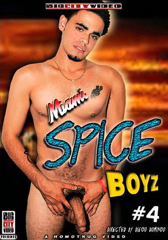 Miami Spice Boyz 4 movie poster