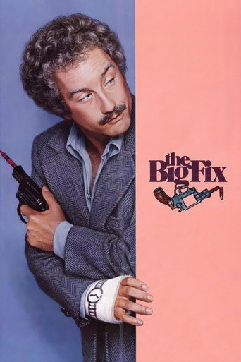 The Big Fix movie poster