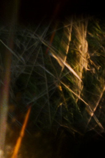 Tired snail eyes look around on a jog home movie poster