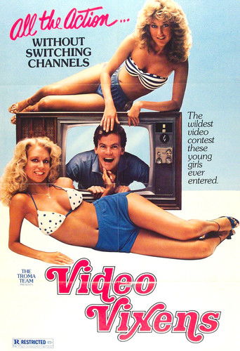 Video Vixens! movie poster