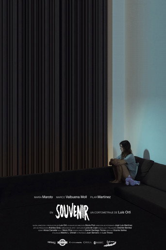Souvenir movie poster